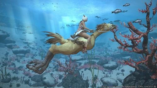 PS4 Final Fantasy XIV Online The Complete Edition