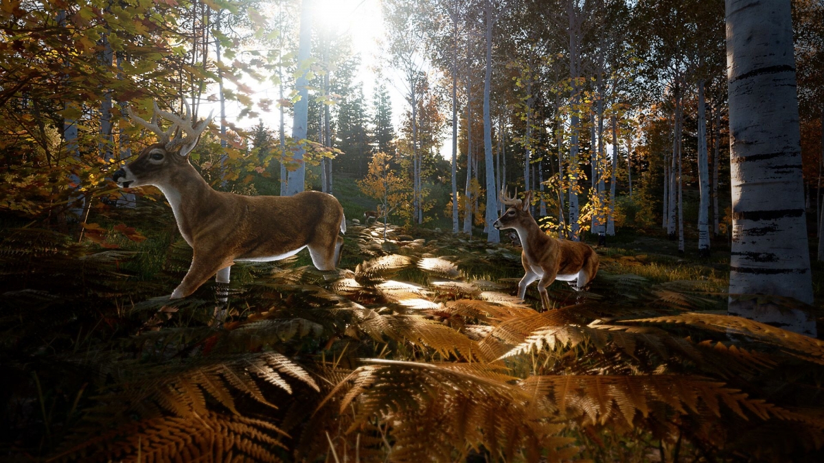 XBOXSeriesX Hunting Simulator 2