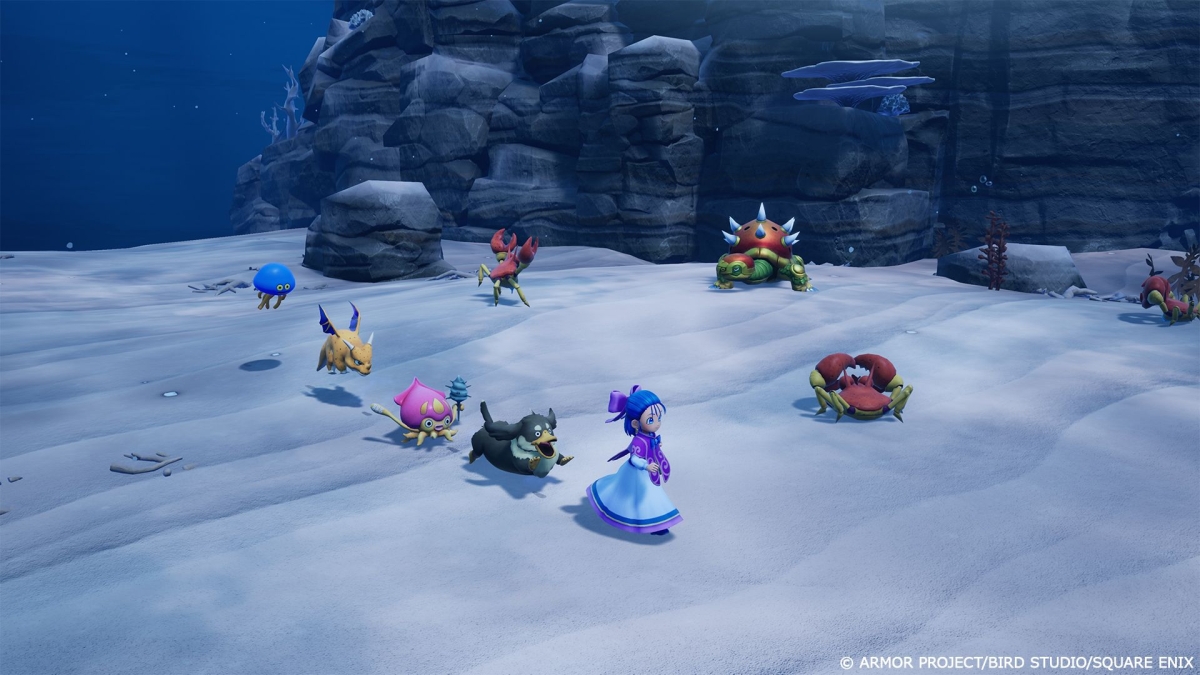 Switch Dragon Quest Monsters The Withered World